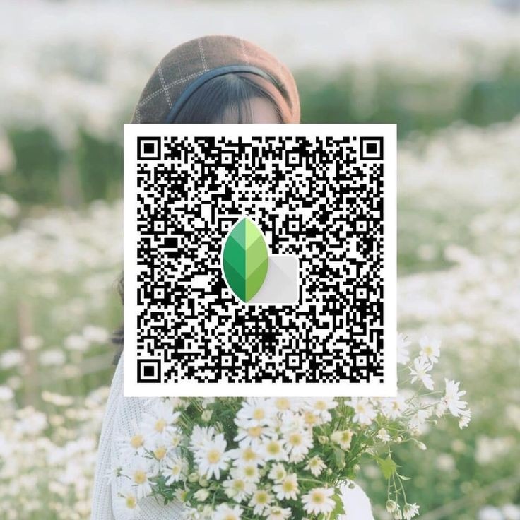 snapseed qr code