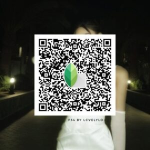 snapseed qr code