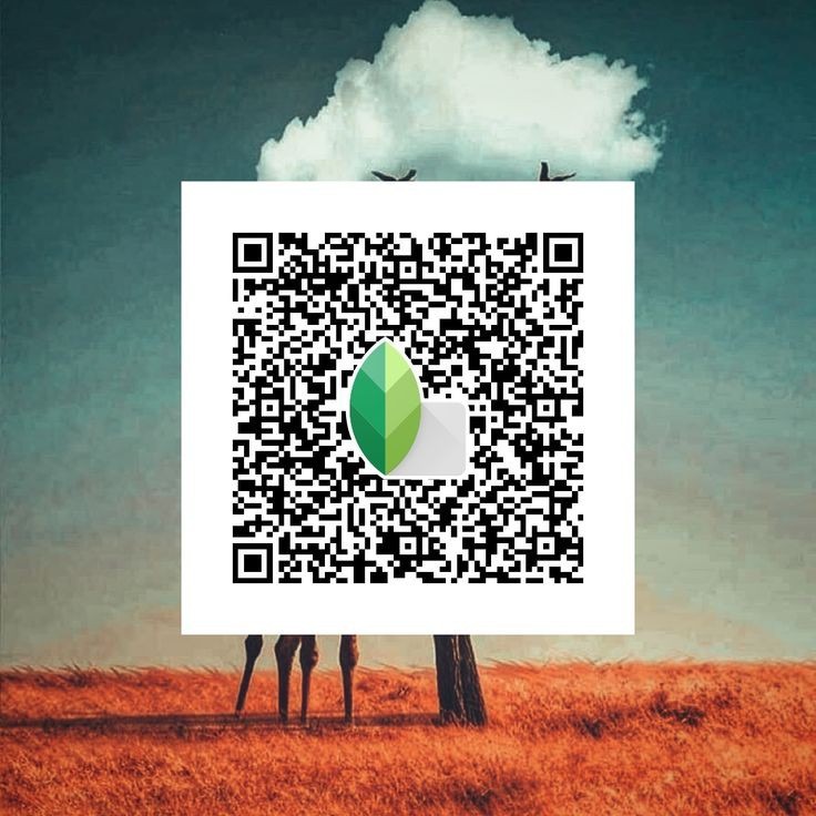 snapseed qr code