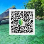 snapseed qr code