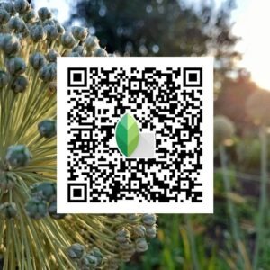 snapseed qr code