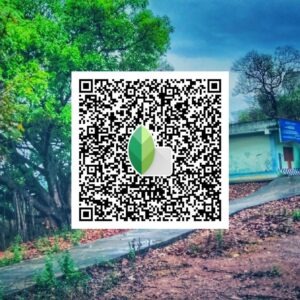 snapseed qr code