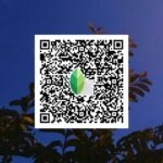 snapseed qr code