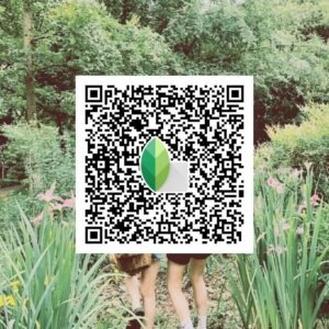 snapseed qr code