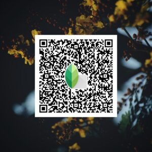snapseed qr code