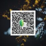 snapseed qr code