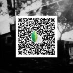 snapseed qr code