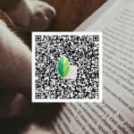 snapseed qr code