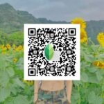 snapseed qr code