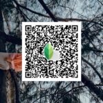 snapseed qr code