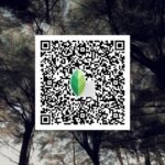 snapseed qr code