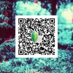 snapseed qr code