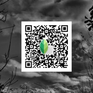 snapseed qr code