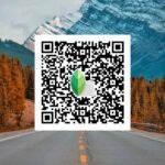 snapseed qr code