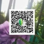 snapseed qr code