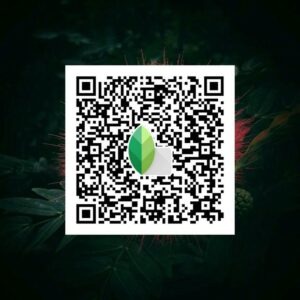 snapseed qr code