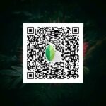 snapseed qr code