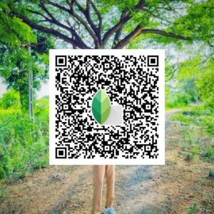 snapseed qr code