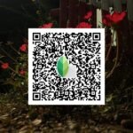 snapseed qr code