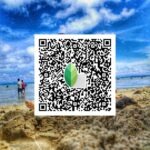 snapseed qr code