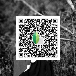 snapseed qr code