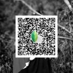 snapseed qr code