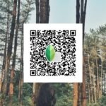 snapseed qr code