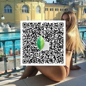 snapseed qr code