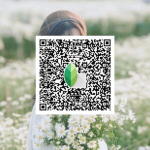 snapseed qr code