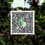 snapseed qr code