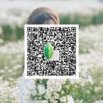 snapseed qr code