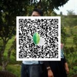 snapseed qr code